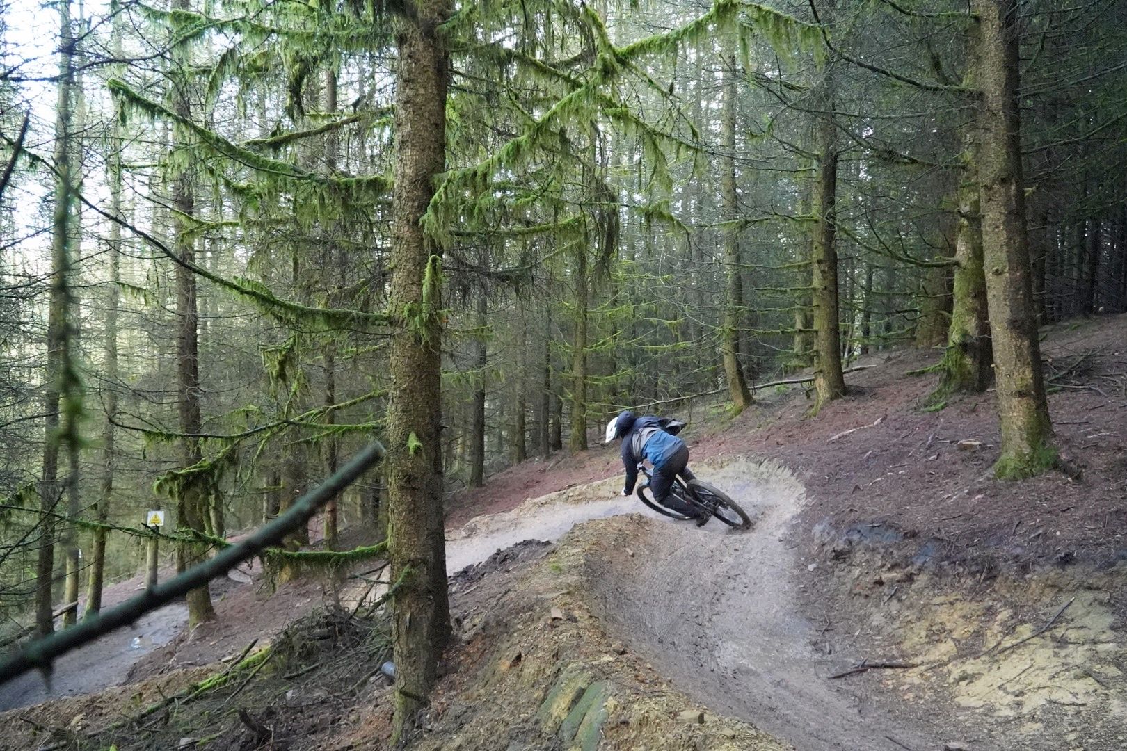 YT Capra Core 4 29 review