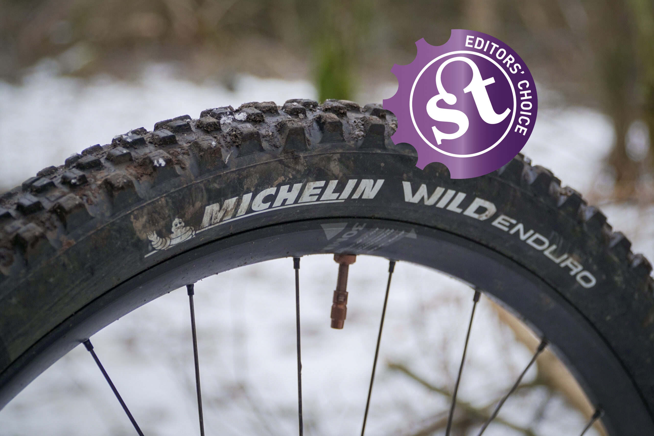 Michelin Wild Enduro Tyre – Editors’ Choice Awards 2021