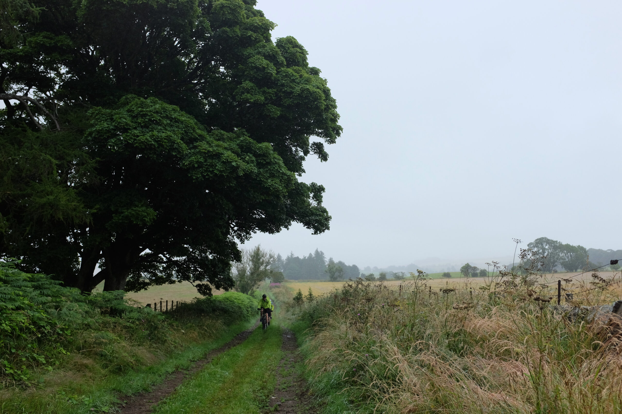 Singletrack Issue 141 UK Adventure: Pilgrim’s Regress