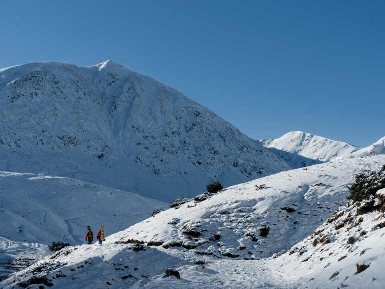 Insta360 ONE Want’s To Stabilise Your 360 Extreme Video