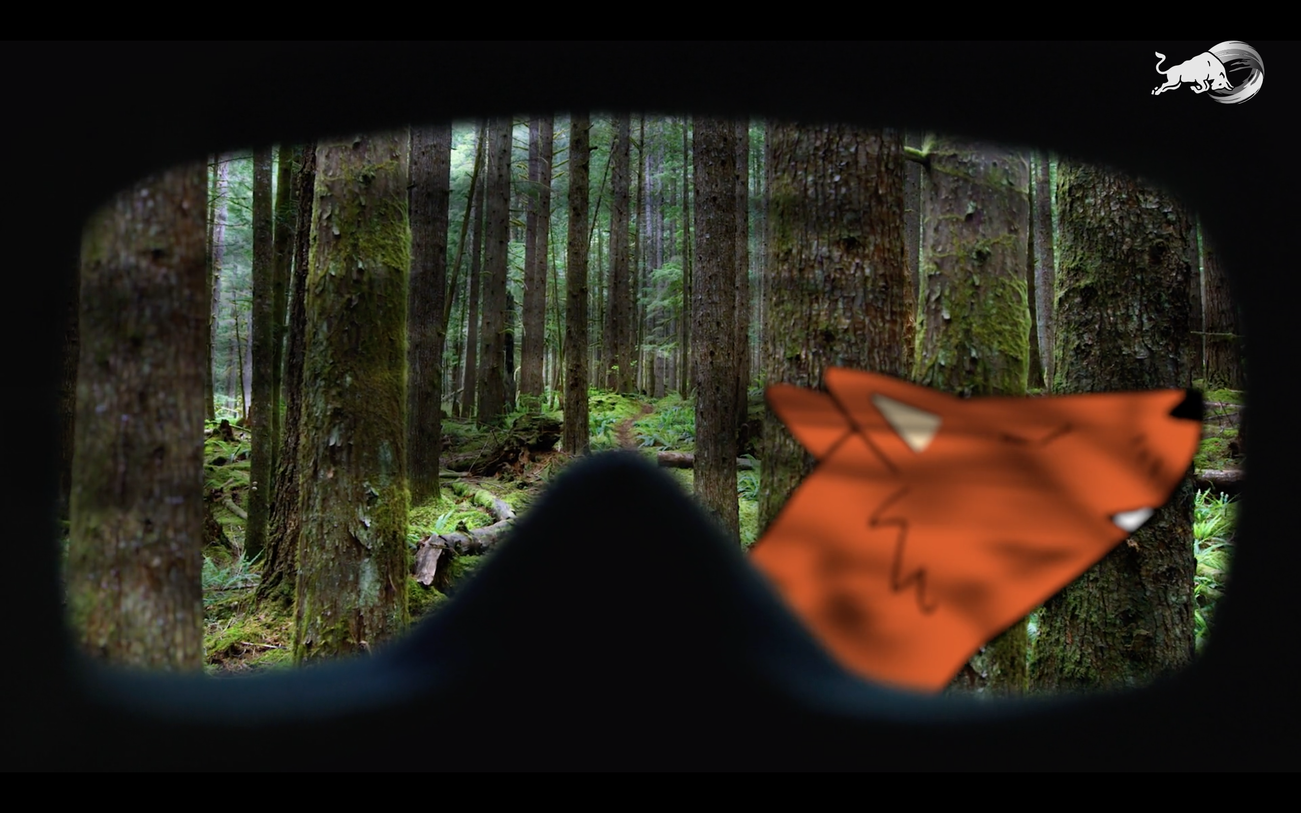 Welcome To Bandit Hill – like the Gruffalo, with bikes