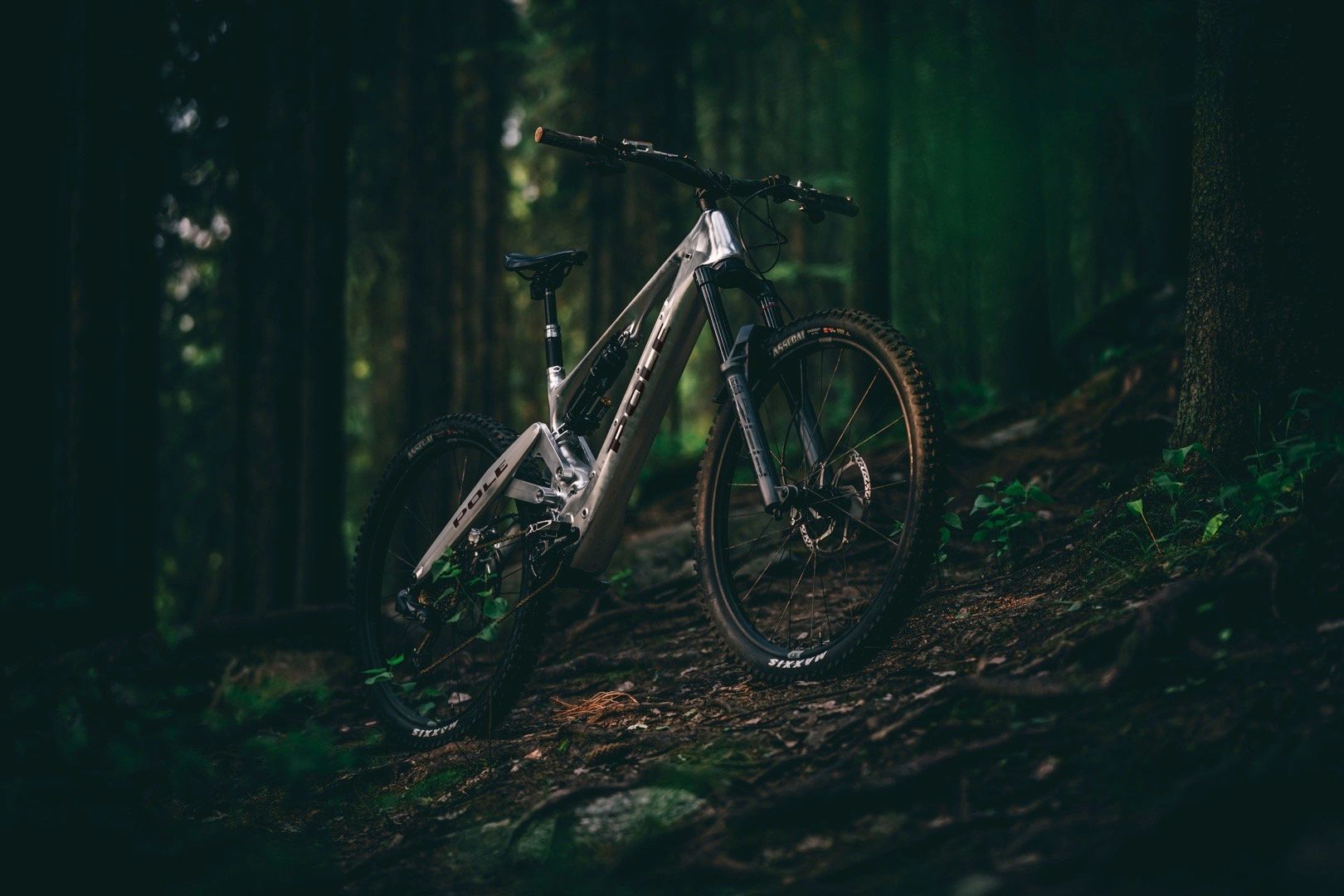Pole’s first eMTB is called the Pole Vol… Voima