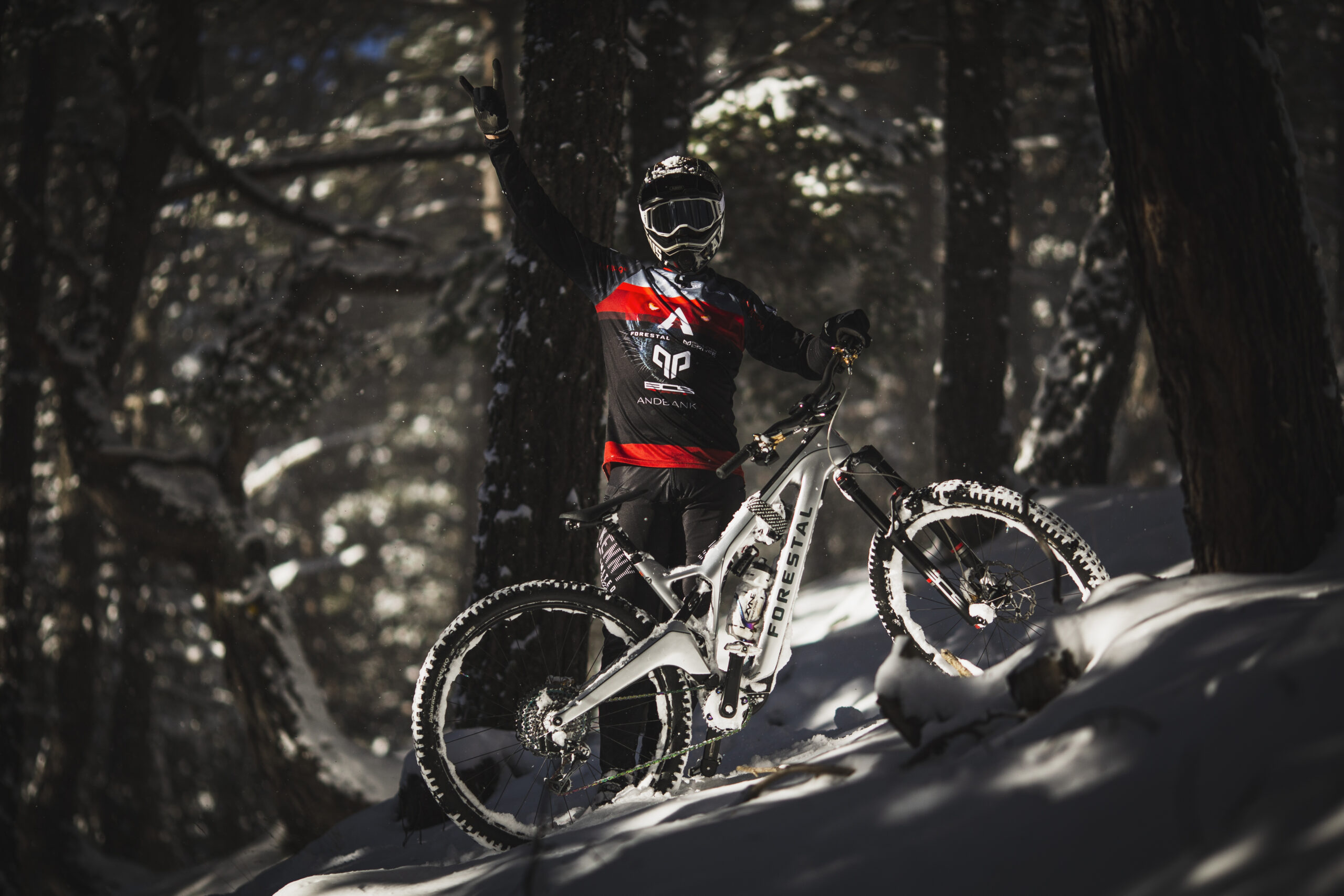 Silverfish to distribute Forestal Bikes