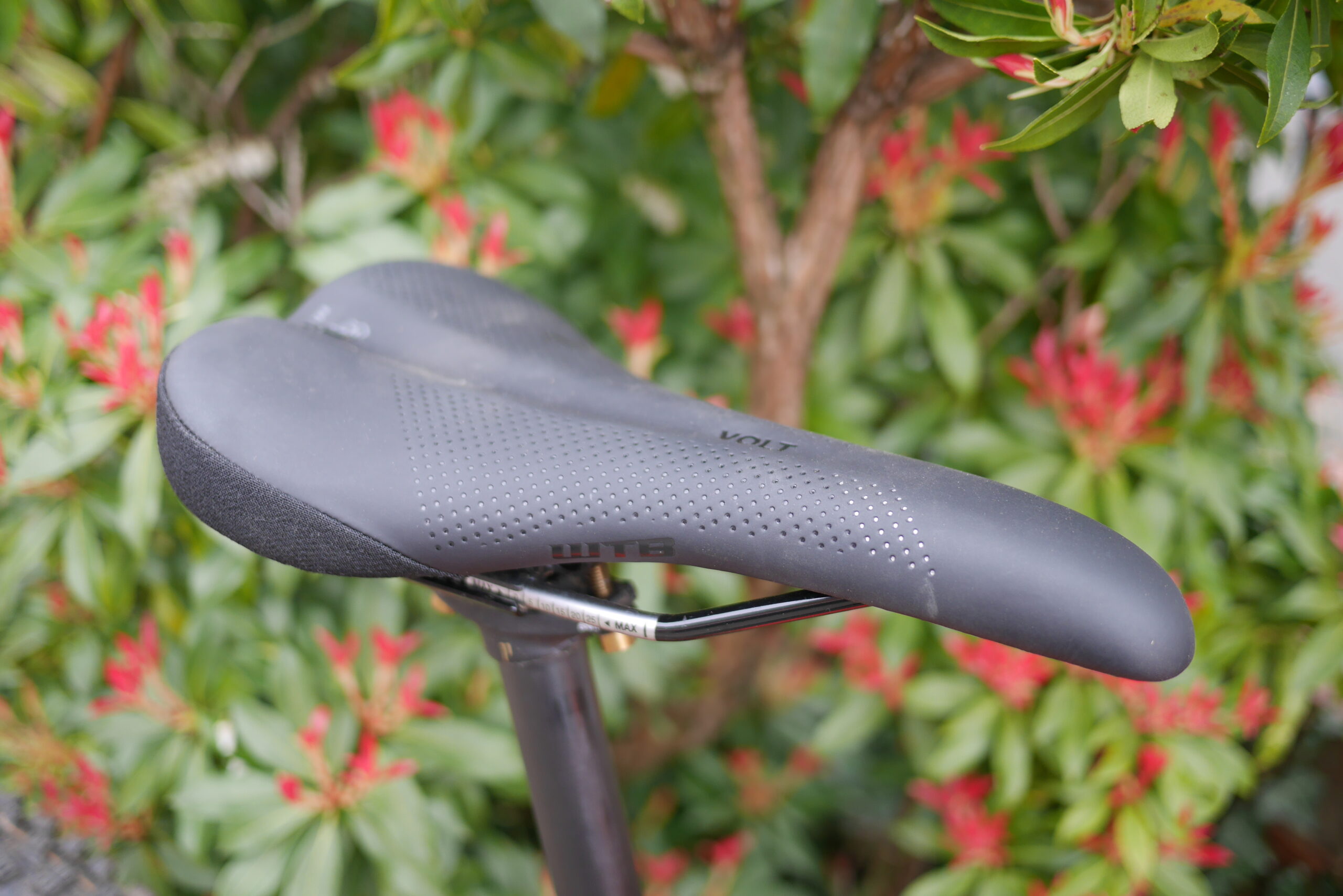 WTB Volt saddle review: safe bet for biking bums