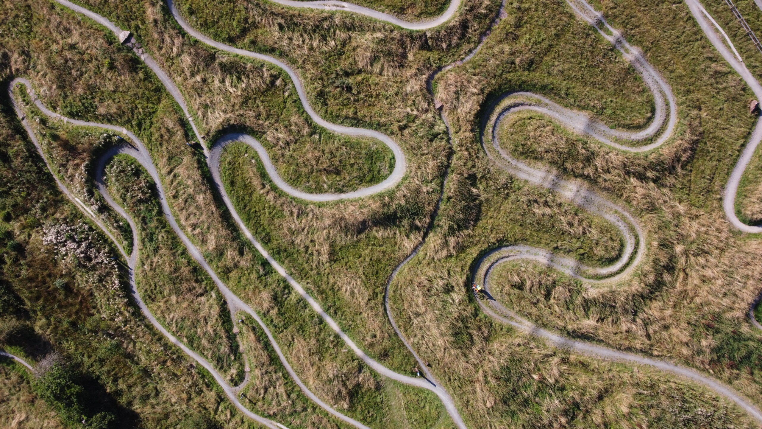 Issue 142 FNY Hunt: A Seismic Event