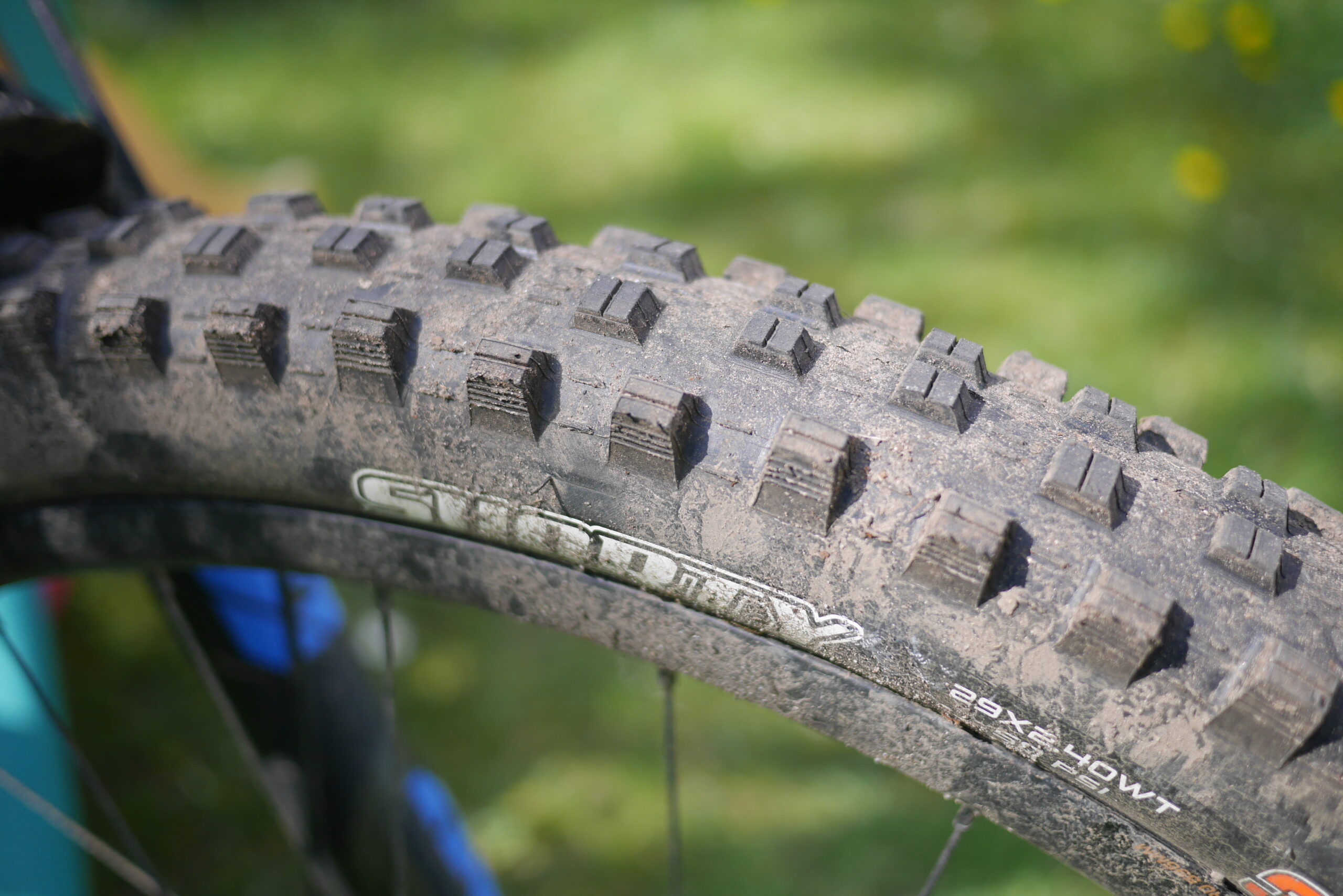 Maxxis Shorty Gen 2 review: the best just got better