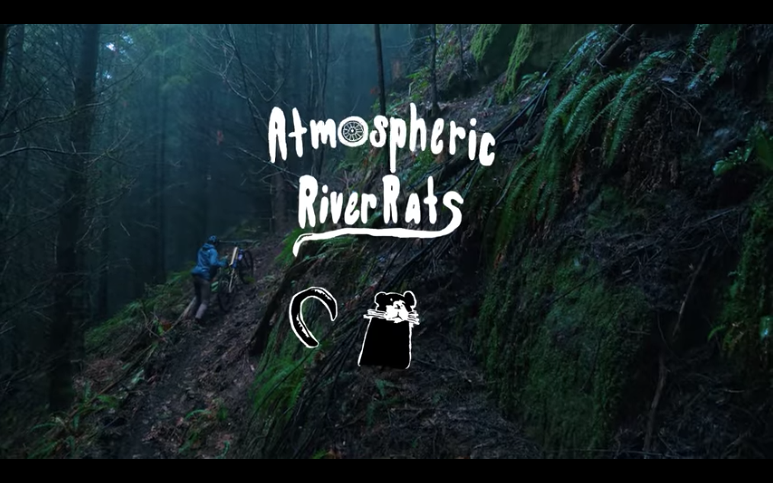 Winter Mountain Biking In Bellingham