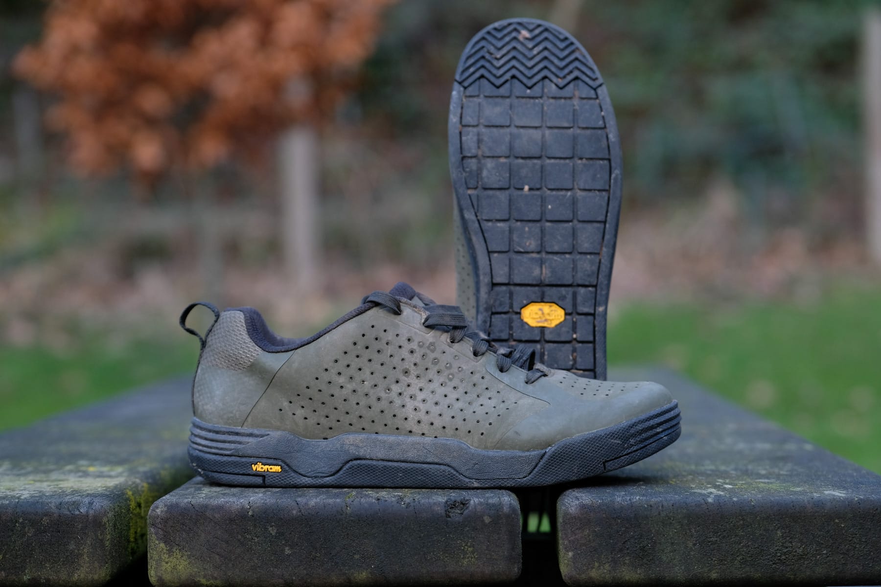 Bontrager Flatline Shoes