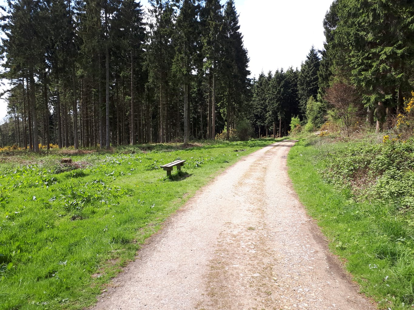 Issue 162: Last Word – The Magic Triangle