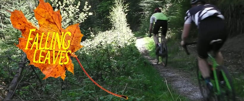 Grabs some autumnal gravel fun with the Falling Leaves Rough Ride