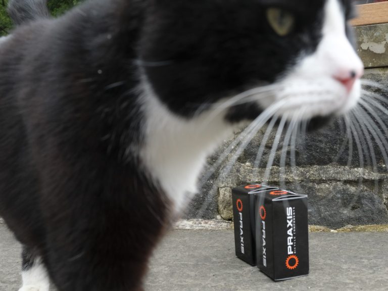 Fresh Goods Friday 603 – The Cat’s Whiskers Edition