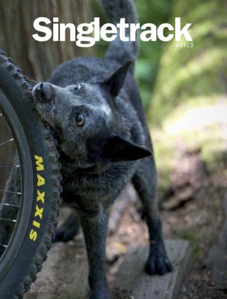 singletrack magazine cover 137