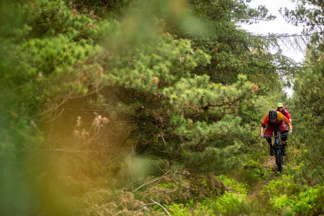 issue 144 duegars pete scullion