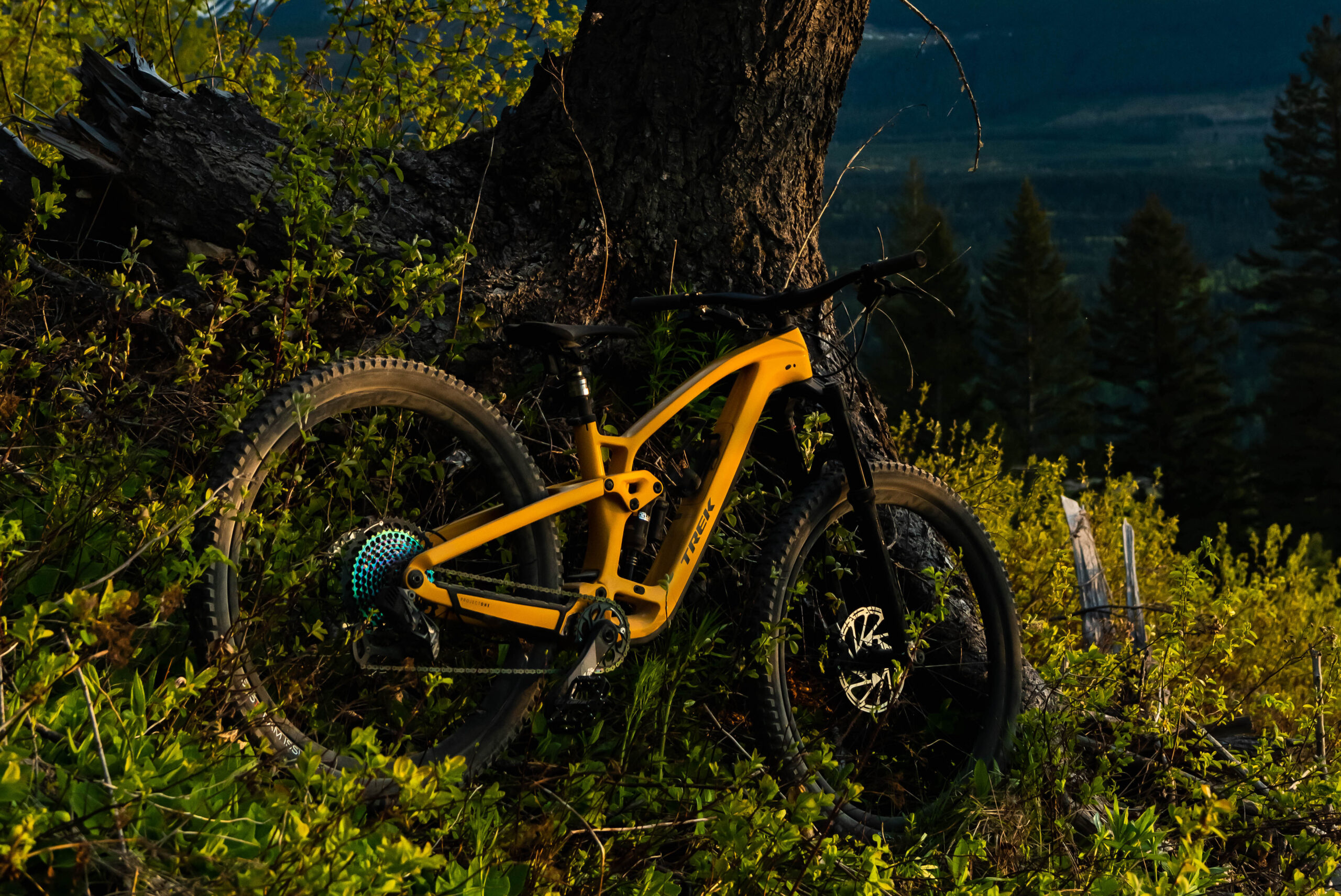 Quick look at the new Trek Fuel EX