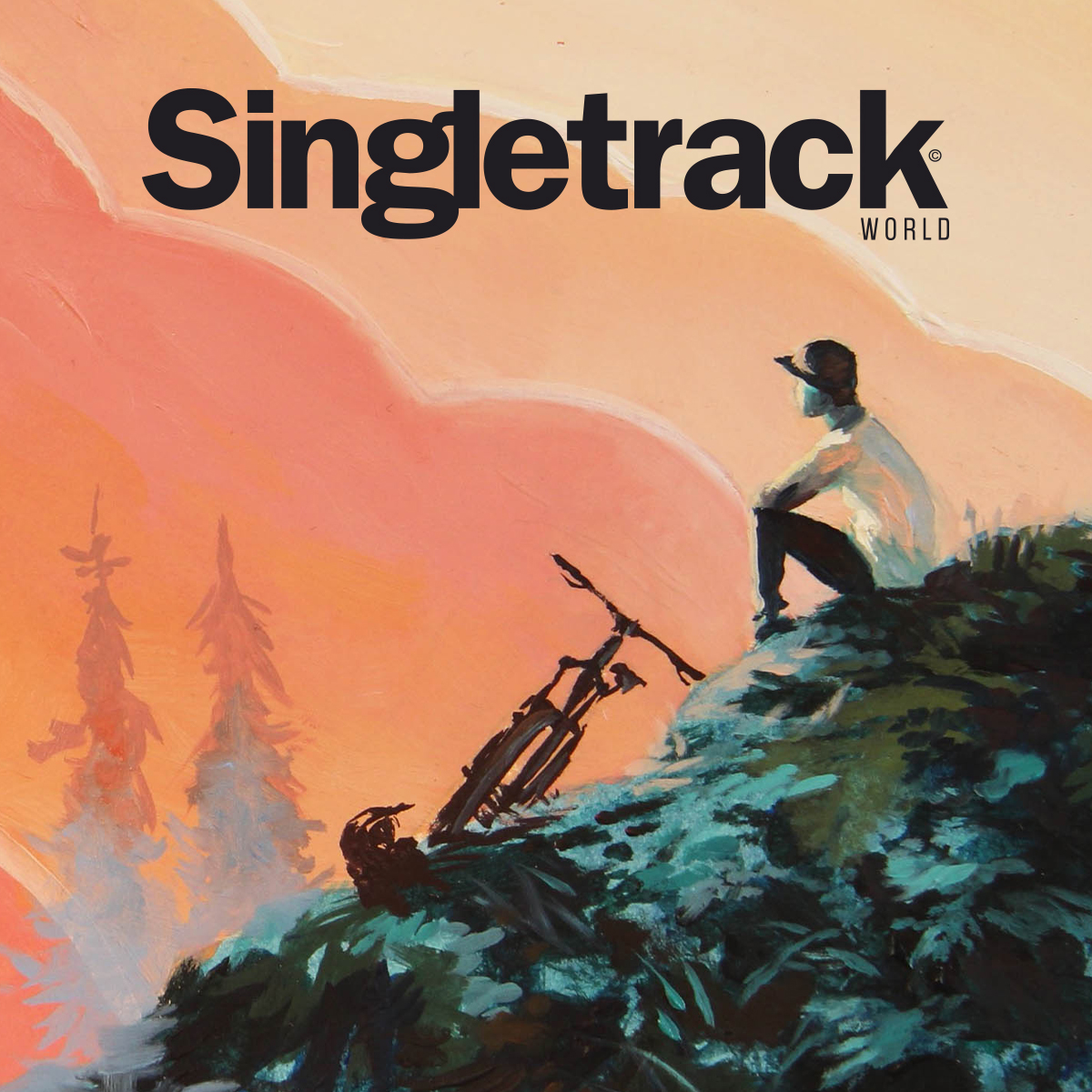Take The Singletrack World Mega Survey!