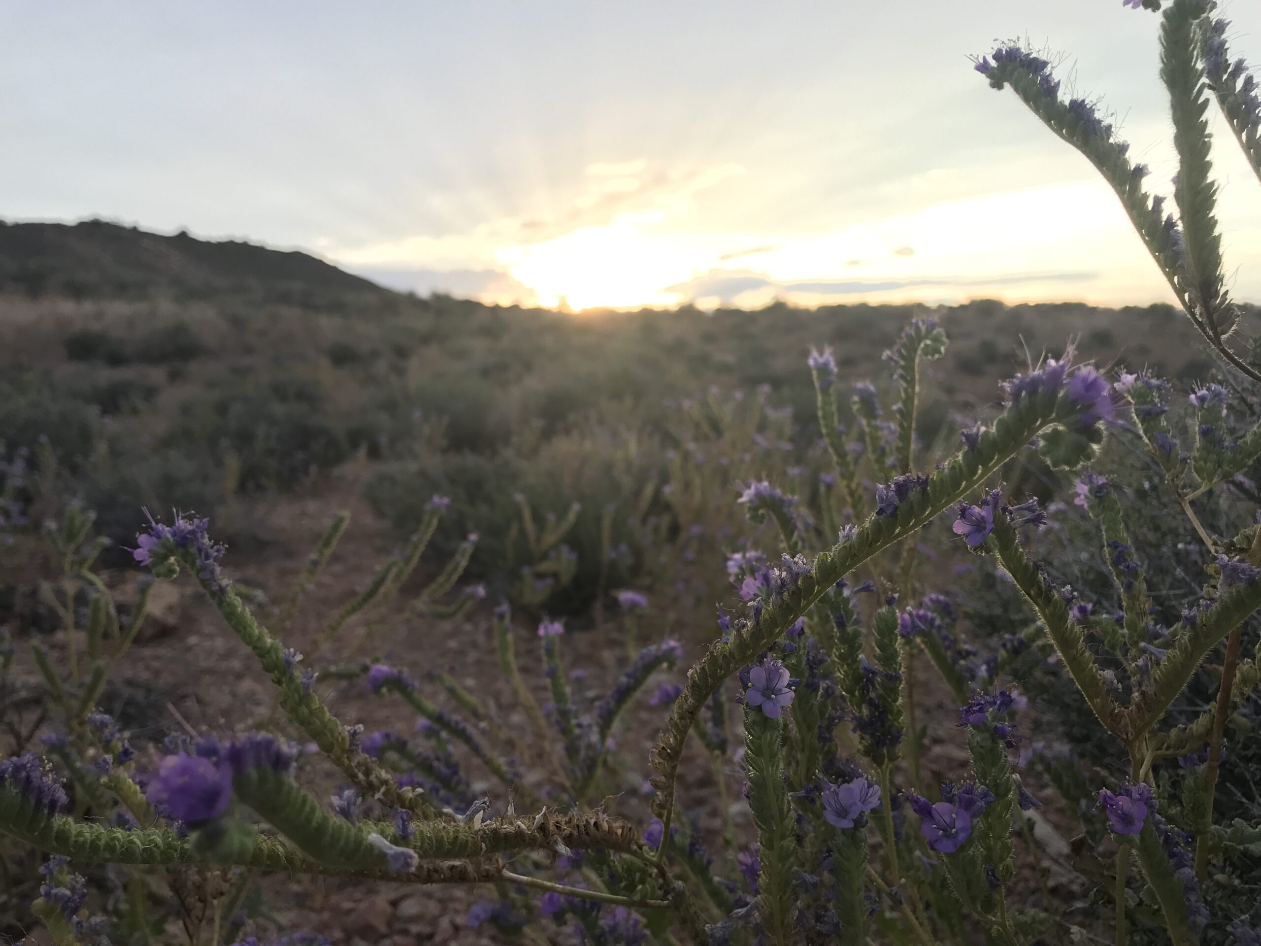 Podcast: Wild Cycling and Middle Aged Rampage