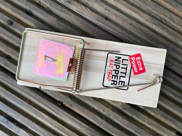 Fresh Goods Friday 634: The Home Improvements Edition