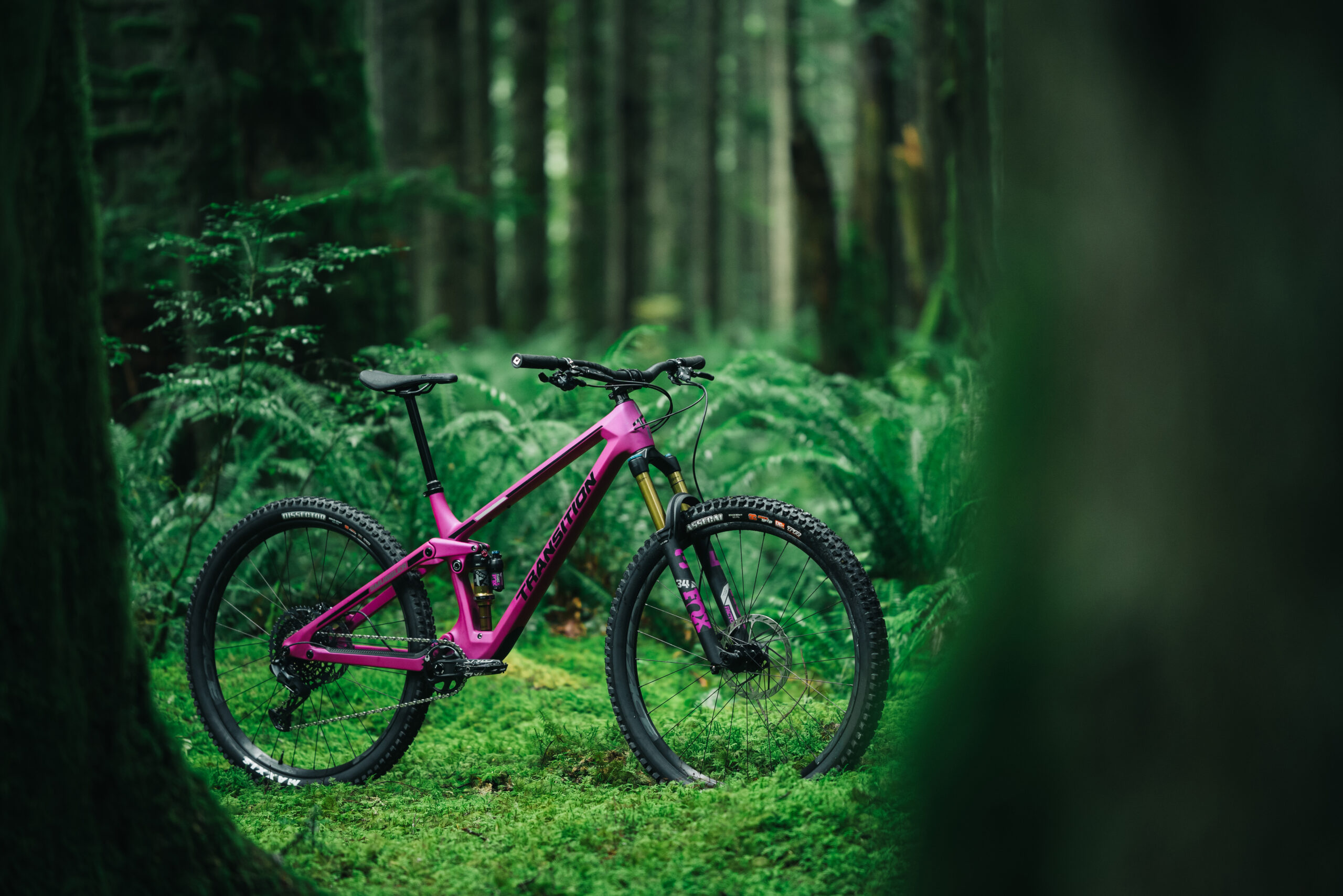 NBD: Transition Smuggler, Windover Beacon, Bike Mechanic Simulator…