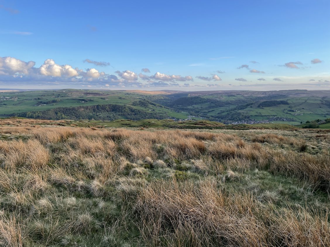 The Answer To Everything Is…