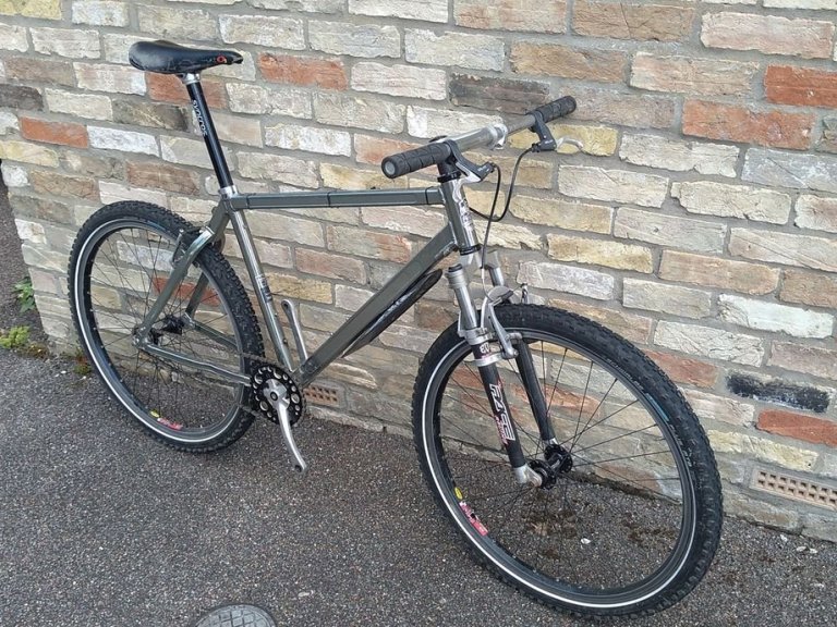 PACE RC 200 singlespeed
