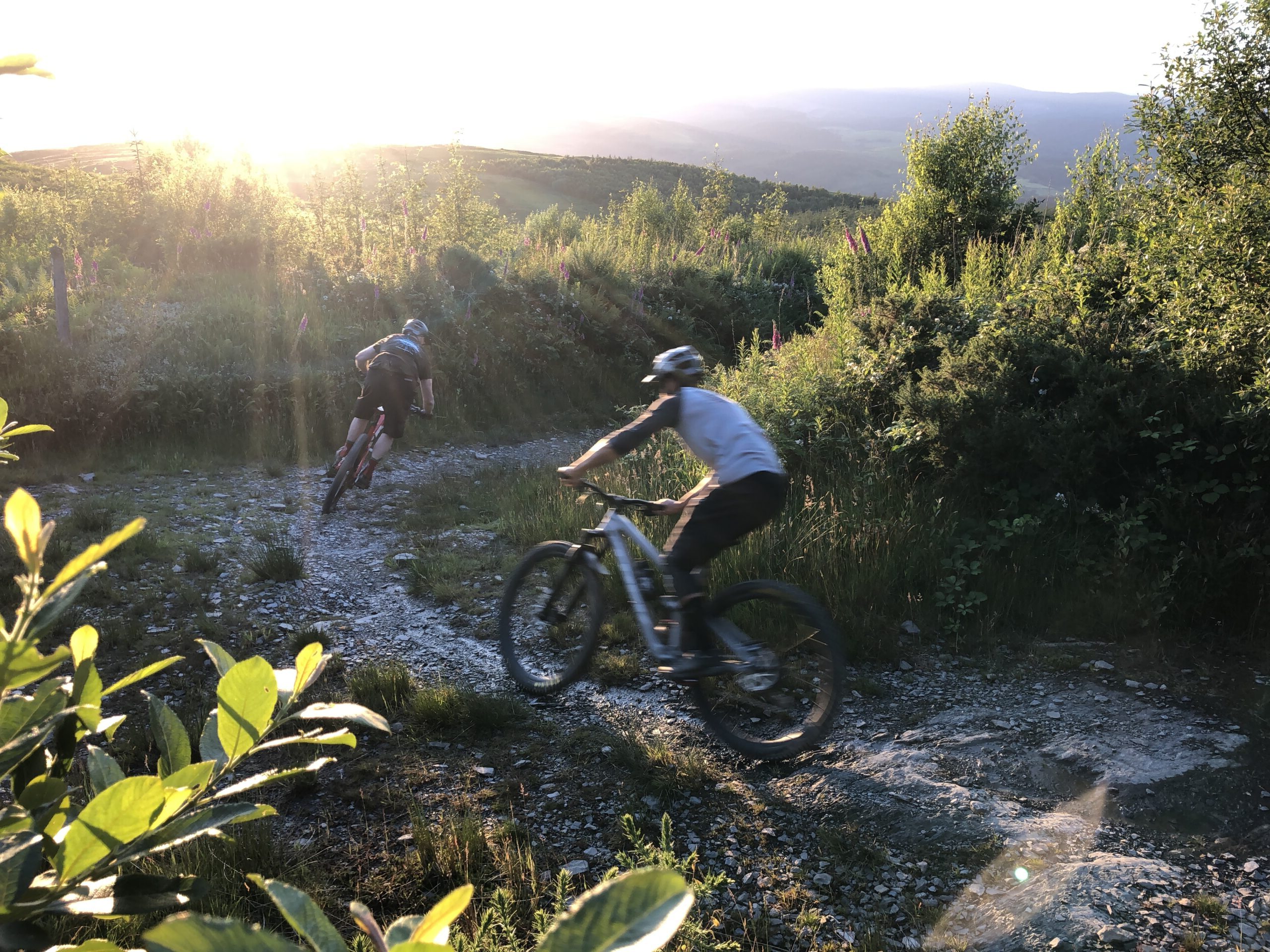 New Mountain Bike Event Hits Dyfi Valley on 1st July