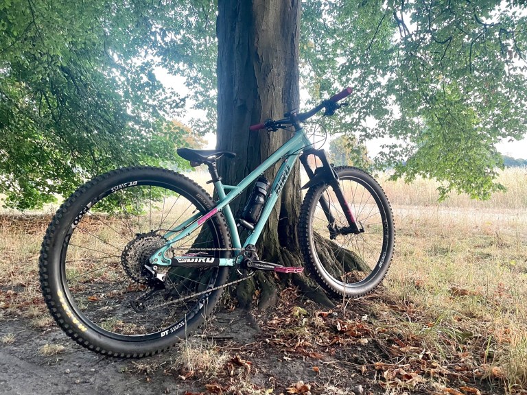 Bird Zero 29 (2019) – Medium