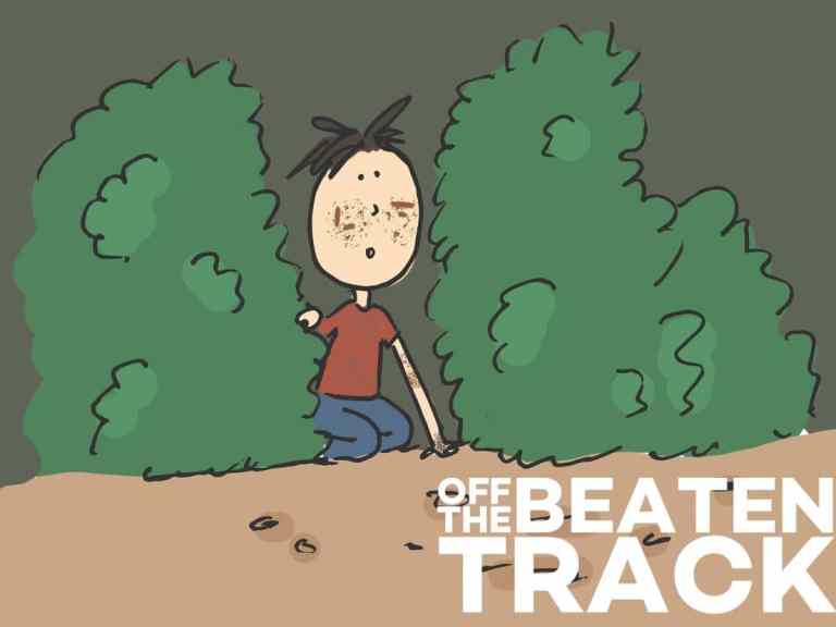 Off The Beaten Track