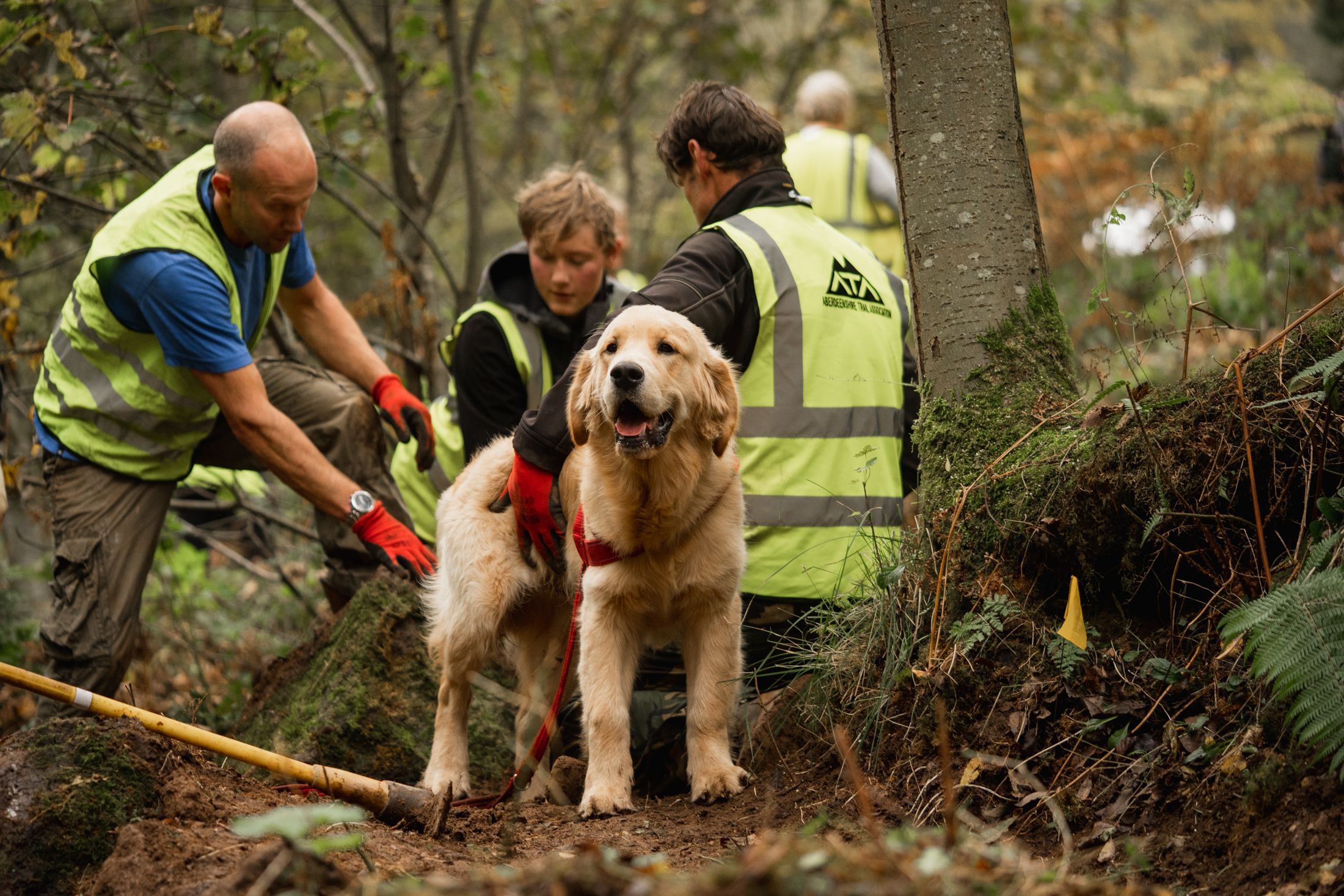 Last Chance To Respond! UK Trails Project Survey: Shape your riding future here