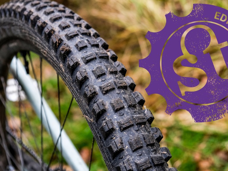 Editors’ Choice 2024: WTB Judge & Verdict tyres