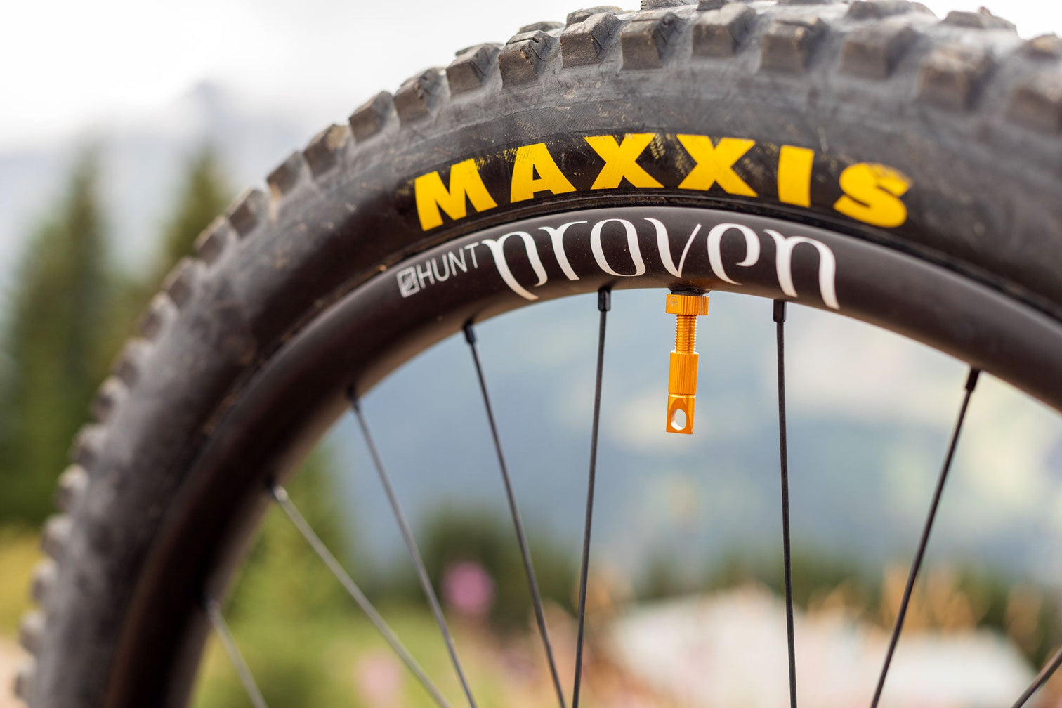 Free carbon wheels worth £1149 with Privateer complete bikes