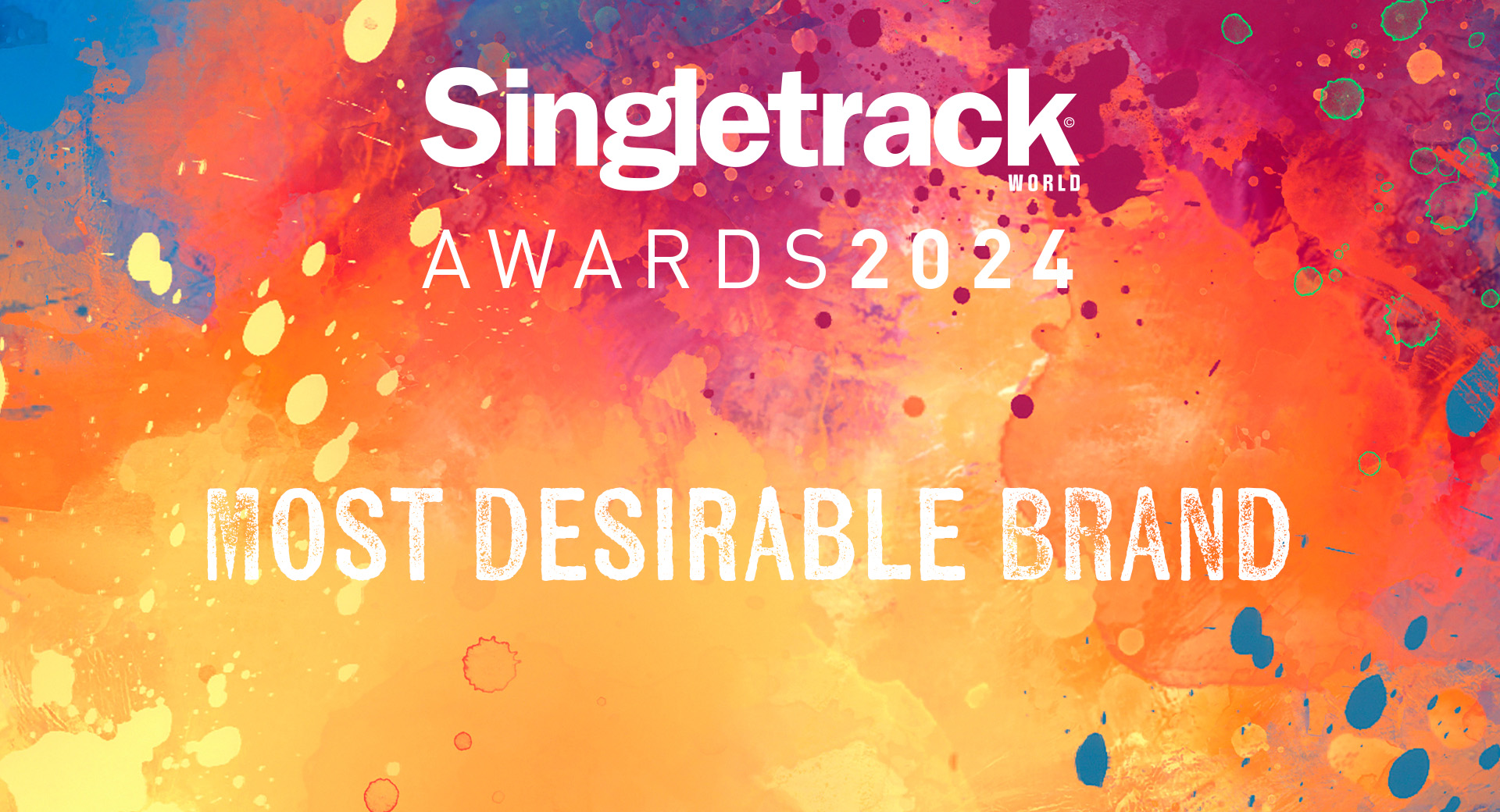 Vote Now! Most Desirable MTB Brand