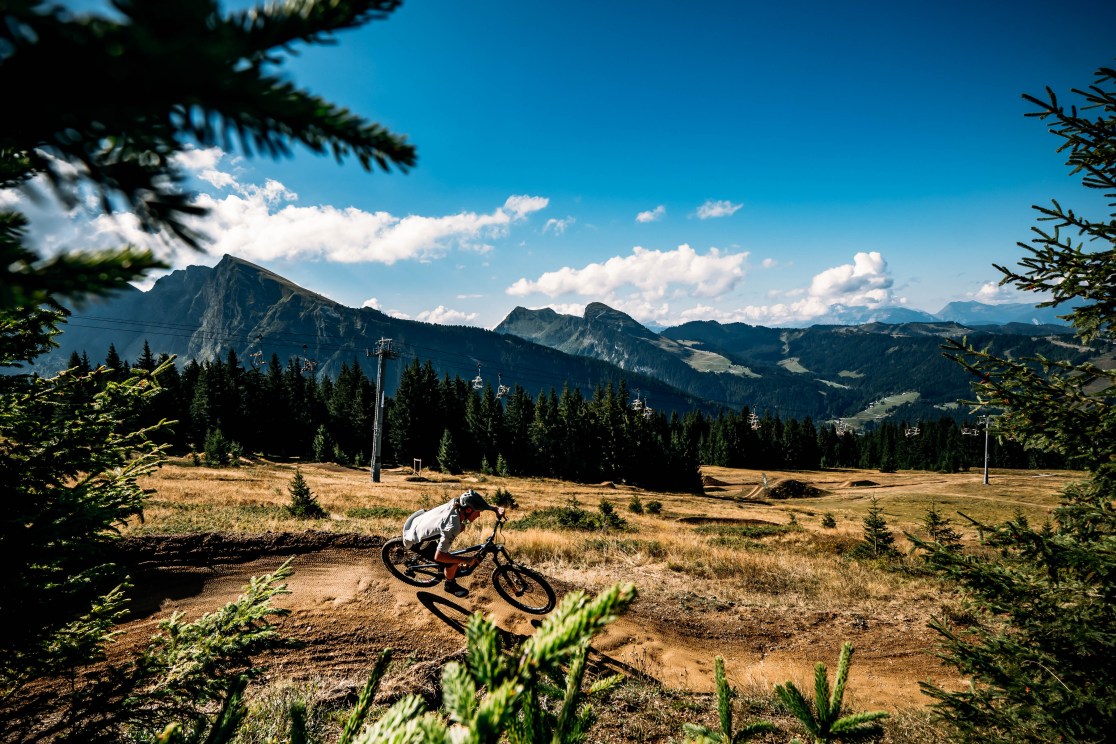 A mountain biker navigating a dirt trail amidst a picturesque alpine landscape with lush greenery and distant mountains under a clear blue sky.