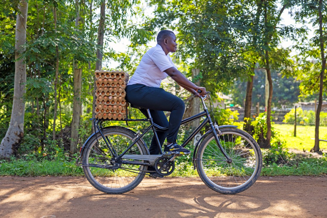 A person riding a Buffalo Bike S2 with a large basket of eggs on the back, set against a lush green background.