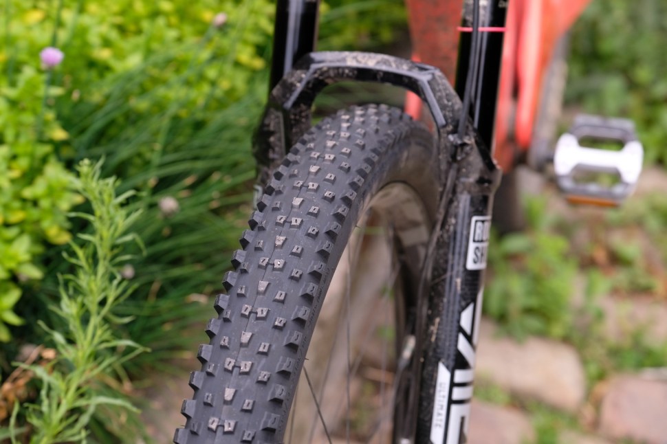 Close-up of a mountain bike tire on a bike, showcasing the tread pattern and rear frame.
