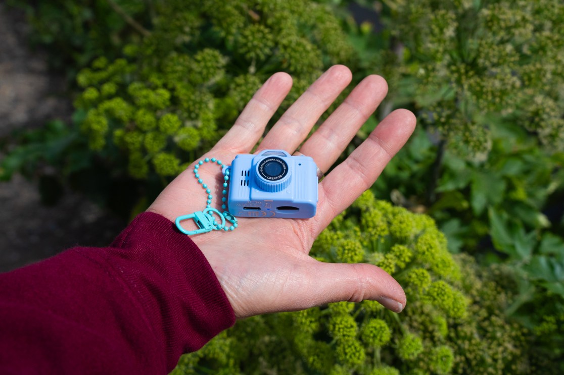 A person holding a small blue digital camera in their hand, with a partially blurred background of green foliage.