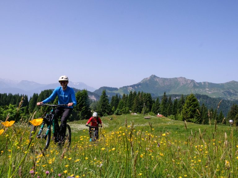 Les Gets, French Alps