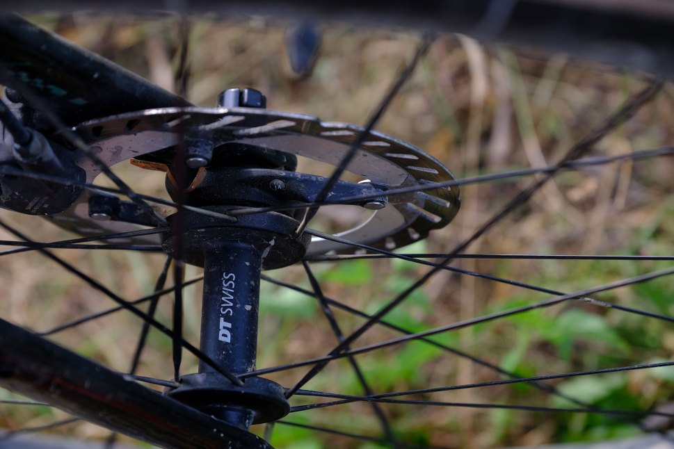 Close-up view of a DT Swiss bike hub with a disc brake rotor attached, showcasing spokes and surrounding natural background.
