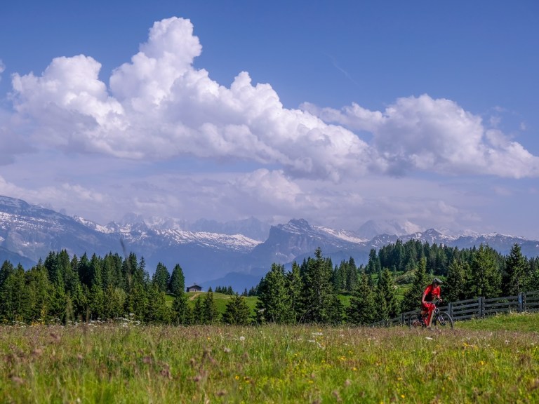 What’s in the August issue of Singletrack Magazine?