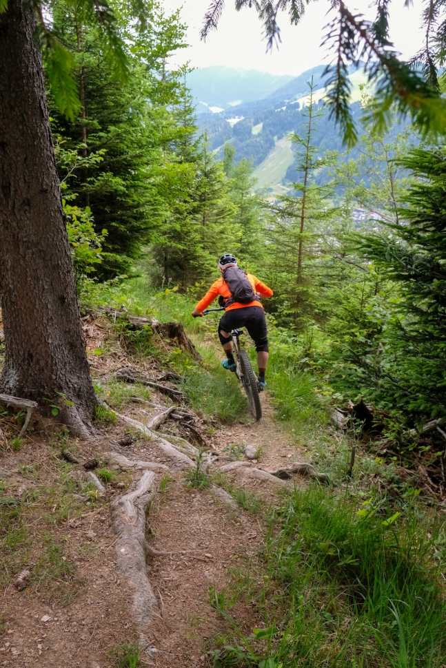 A mountain biker descending a narrow, rugged trail surrounded by dense pine trees in Morzine, France.