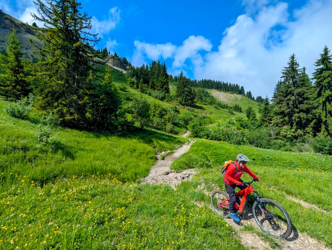 A mountain biker in a red outfit rides along a winding trail through lush green grass and wildflowers, surrounded by trees and a picturesque mountainous landscape.