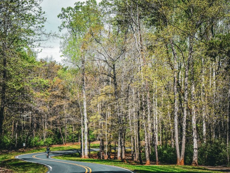 Pisgah Up In A Brewery – photo gallery