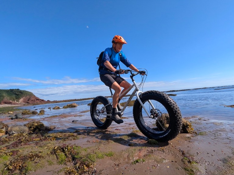 Surly Moonlander 2.0 Pinion Gearbox review
