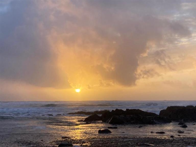 WTD: Cheap options to join the world of zwift