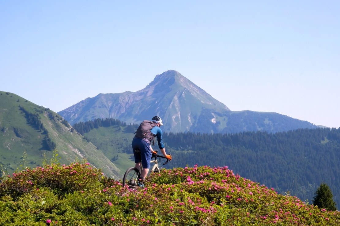 A cyclist on a gravel bike navigating through blooming alpine flora with mountains in the background.