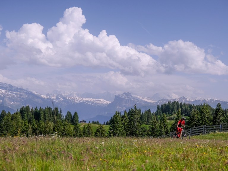 Issue 162: Taking it e-asy? Not entirely.