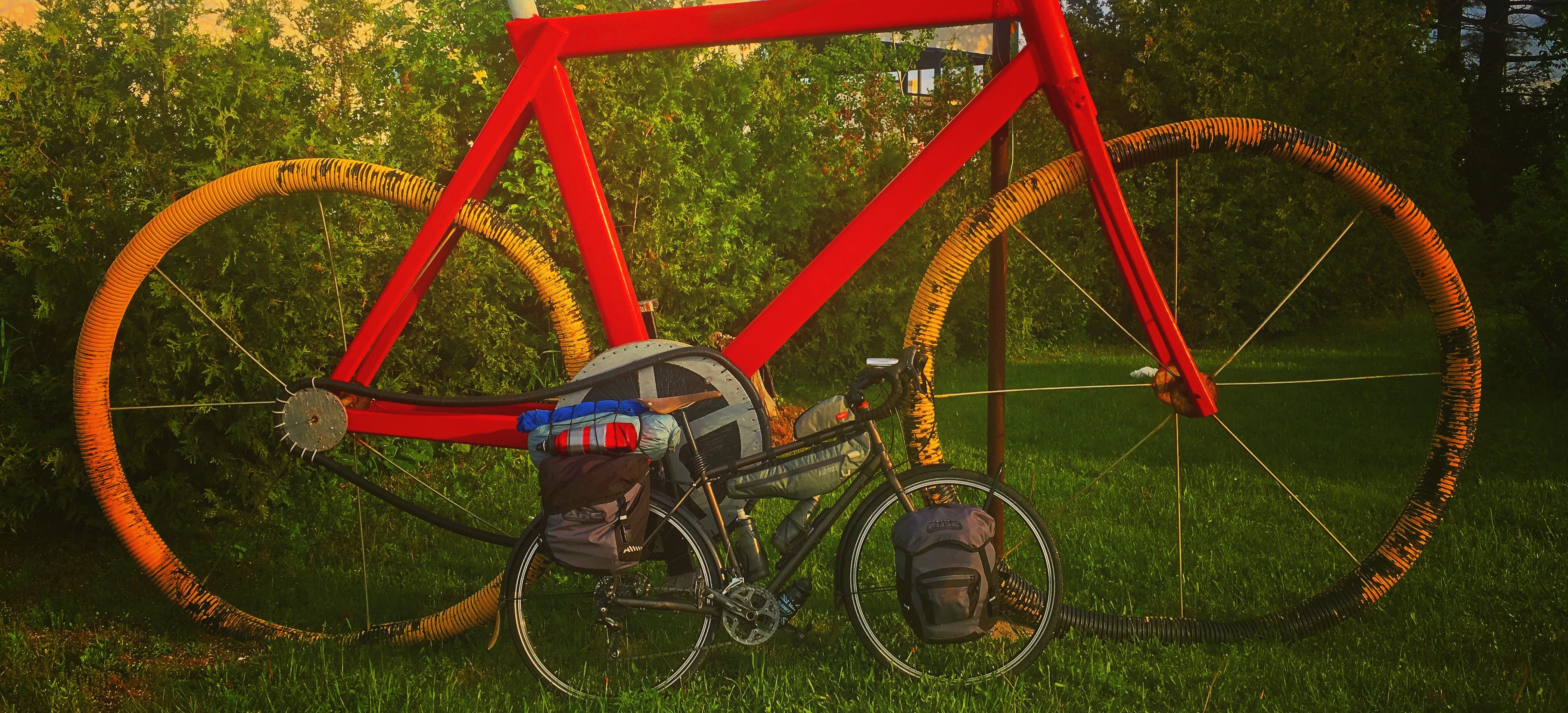 the_cyclist_fka_dogg